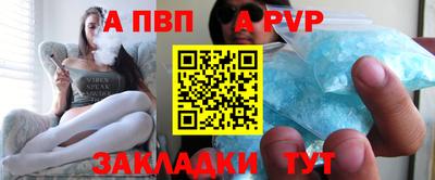 a pvp Новозыбков
