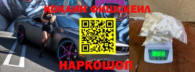 a pvp Новозыбков