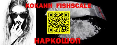 a pvp Новозыбков