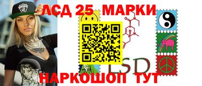 a pvp Новозыбков
