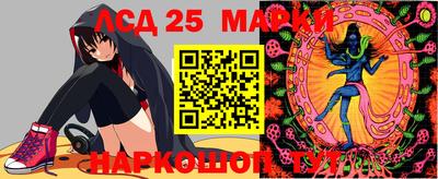 a pvp Новозыбков