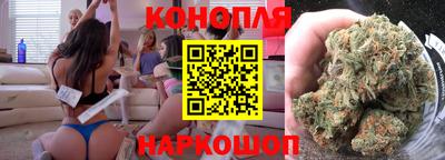 a pvp Новозыбков