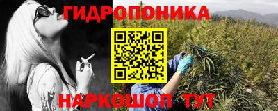 гидра Новодвинск
