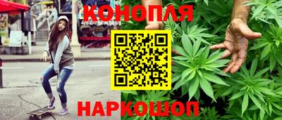 гидра Новодвинск