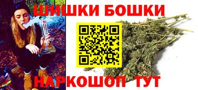 a pvp Новозыбков