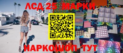 a pvp Новозыбков