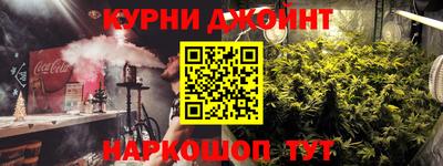 гидра Новодвинск
