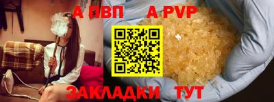 a pvp Новозыбков