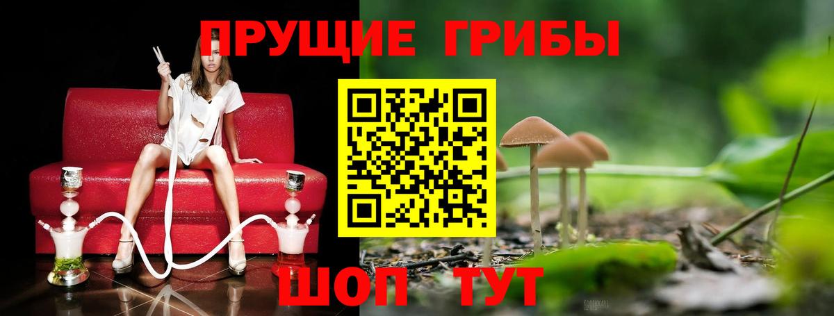 Галлюциногенные грибы Psilocybine cubensis  Вход с VPN  Тосно 