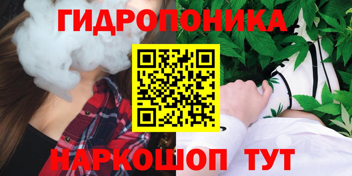 Бошки Шишки план Тосно
